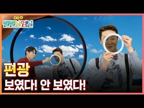 [별별실험실] 보였다! 안 보였다! 편광의 기술
