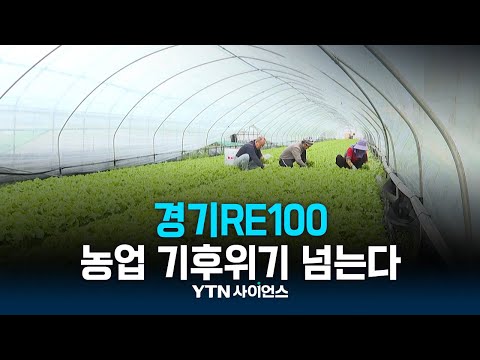 ‘경기RE100’ 농업 기후위기를 넘는다
