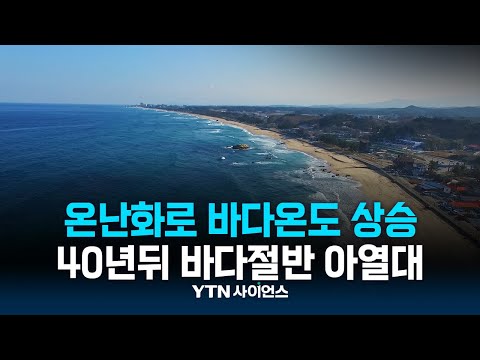 탄소 못 줄이면 40년 뒤 바다 절반이 ‘아열대’